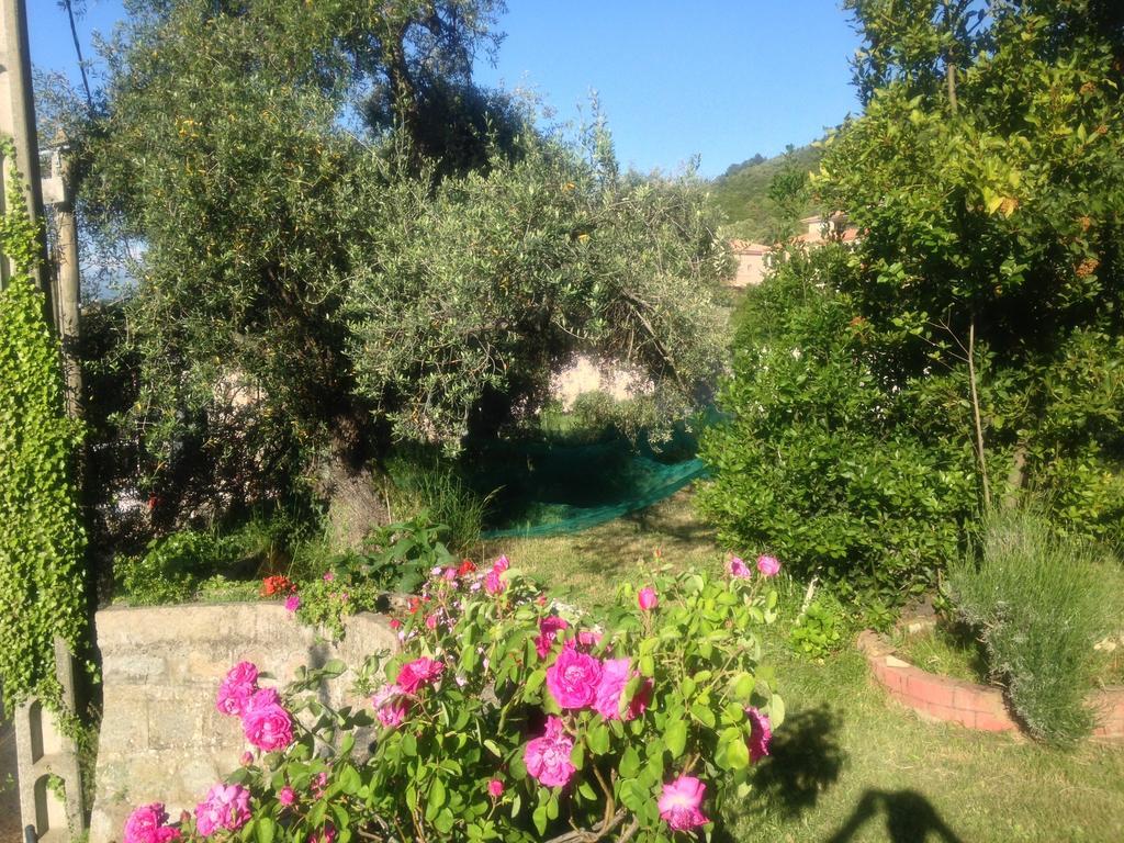 Hotel Les Calanques Piana  Rom bilde